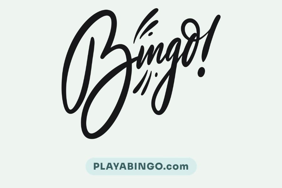 Playabingo — proyecto de Plataforma diseñado y desarrollado por Domindez Studio